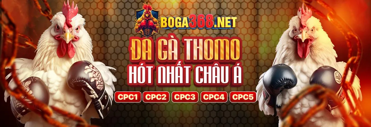 Hình ảnh sòng bạc trực tuyến cao cấp của Zom51