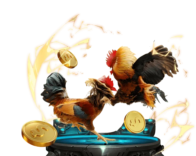 Giao diện đặt cược thân thiện và tỷ lệ cược cạnh tranh tại Zom51 Link Vào